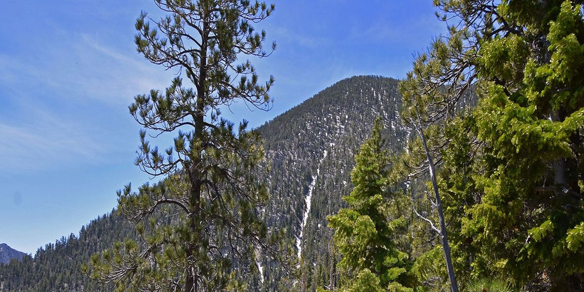 Mysteries-Of-Nevada8217s-Bonanza-Trail-Trading-Paths mysteries-of-nevadas-bonanza-trail-trading-paths