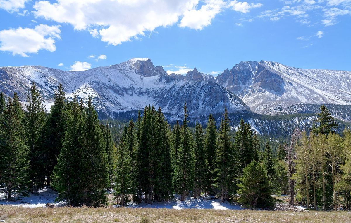 Mysteries-Of-Nevada8217s-Great-Basin mysteries-of-nevadas-great-basin