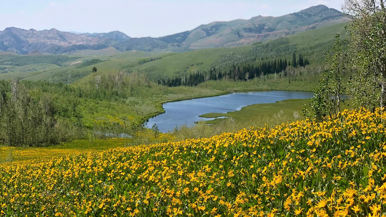 Mysteries-Of-Nevada8217s-Jarbidge-Wilderness mysteries-of-nevadas-jarbidge-wilderness