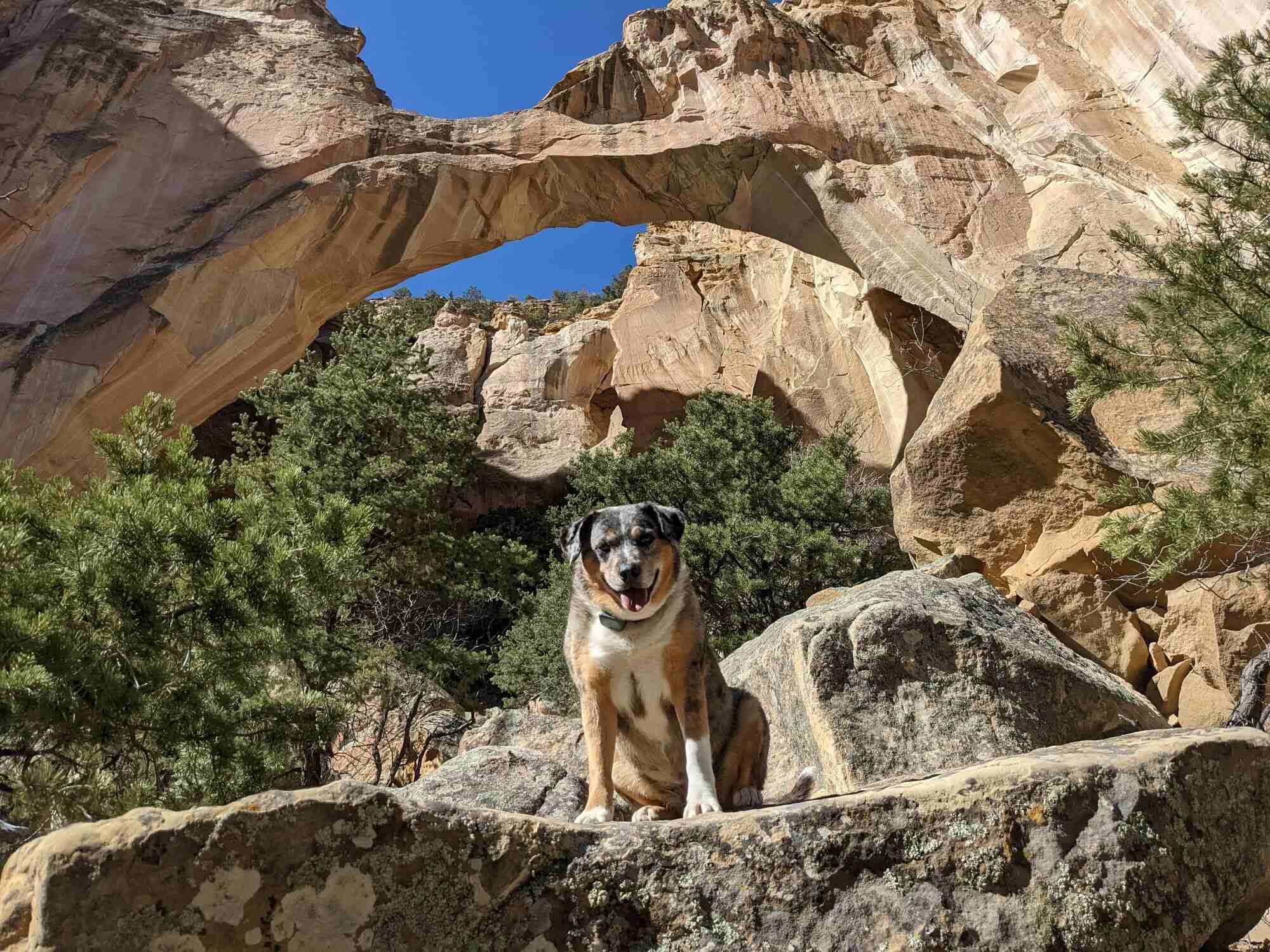 mysteries-of-new-mexicos-el-malpais