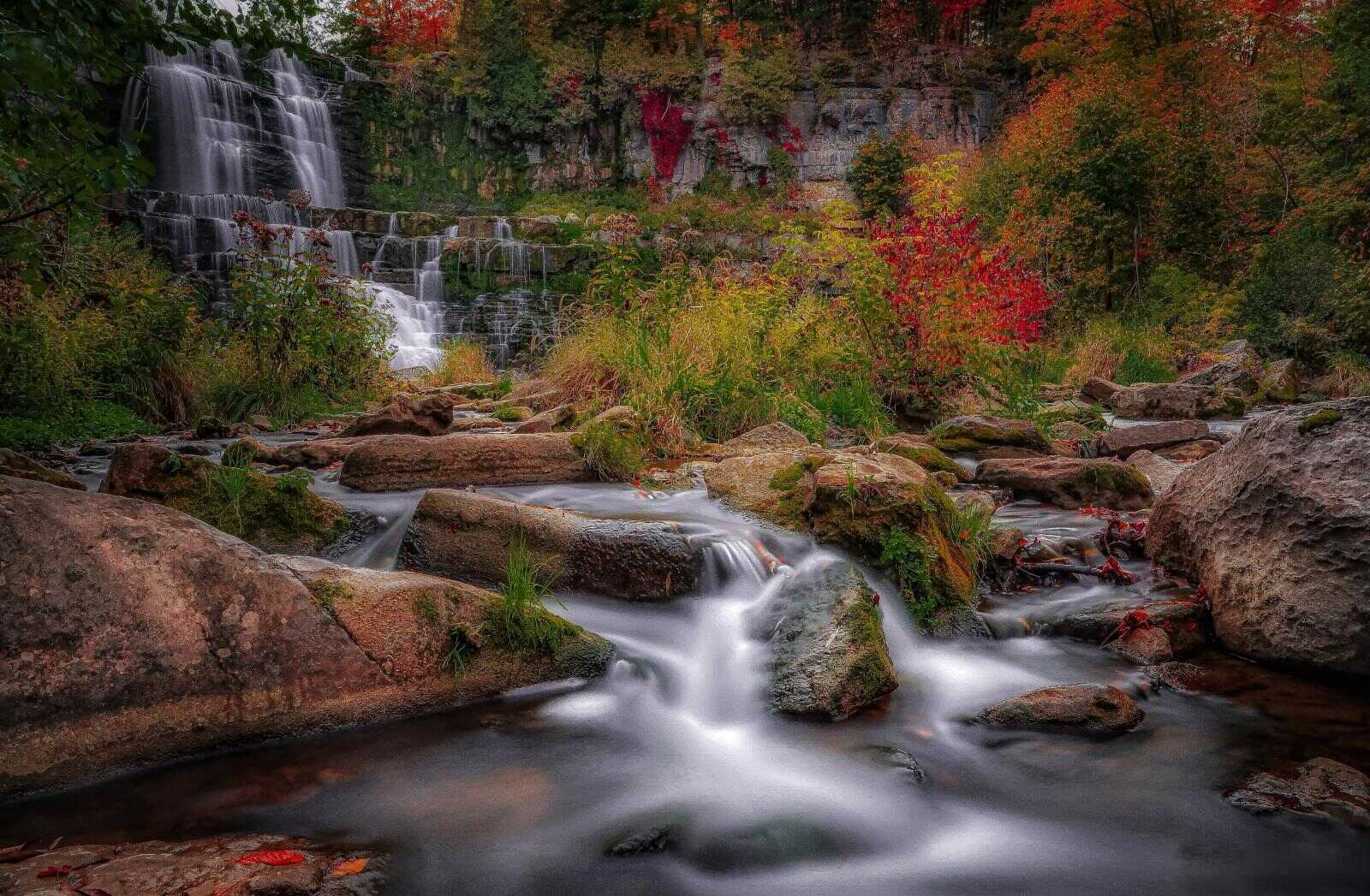 Mysteries-Of-New-York8217s-Chittenango-Wilderness mysteries-of-new-yorks-chittenango-wilderness