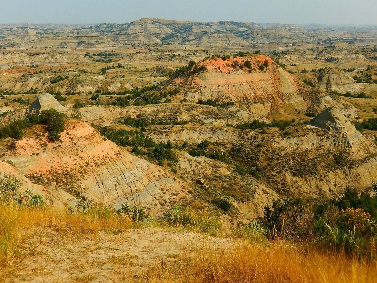 Mysteries-Of-North-Dakota8217s-Painted-Woods mysteries-of-north-dakotas-painted-woods