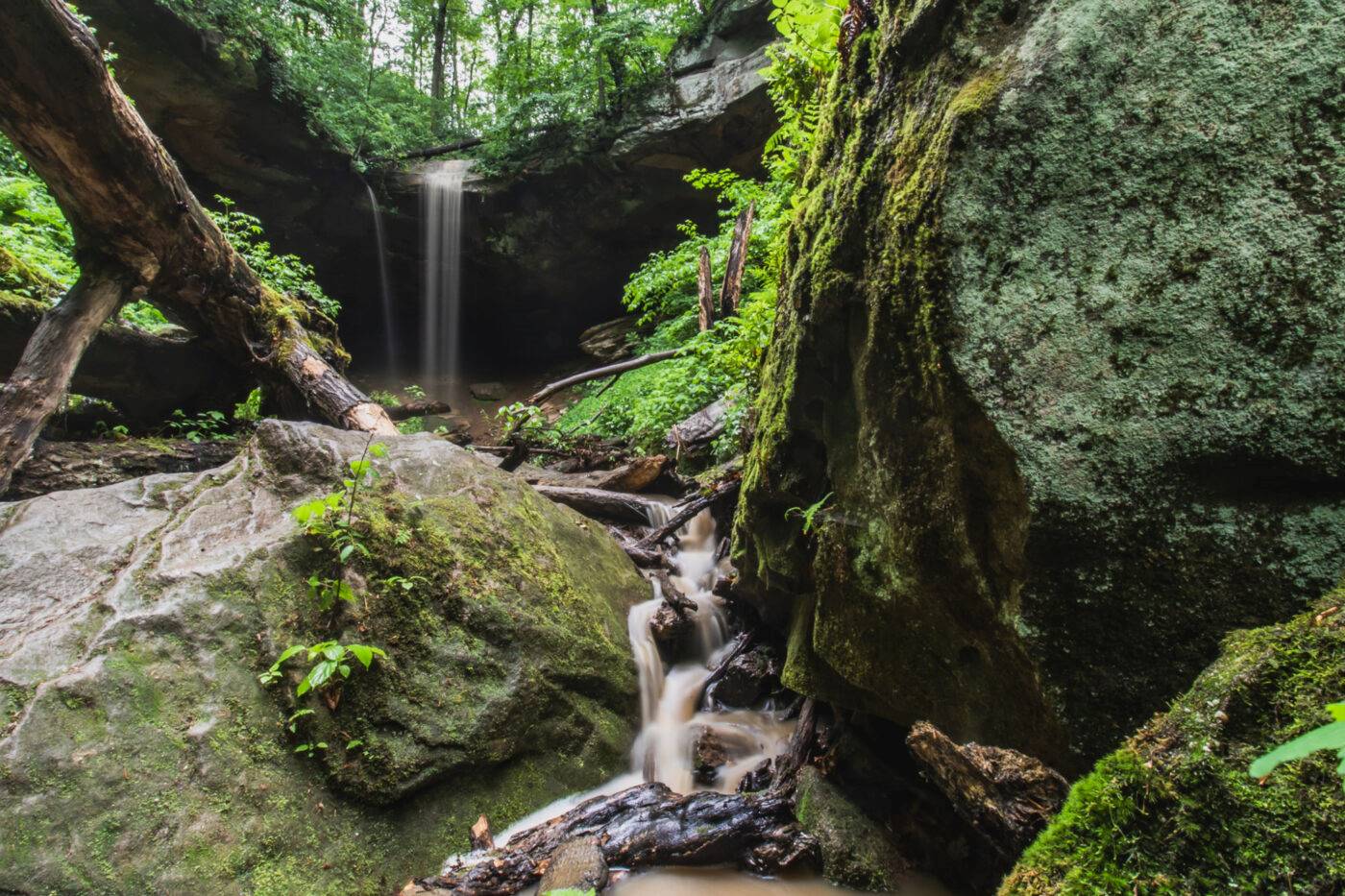 mysteries-of-ohios-salt-fork-forest