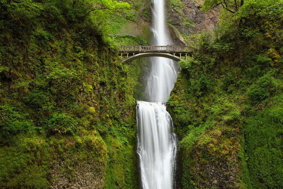 Mysteries-Of-Oregon8217s-Columbia-Gorge mysteries-of-oregons-columbia-gorge