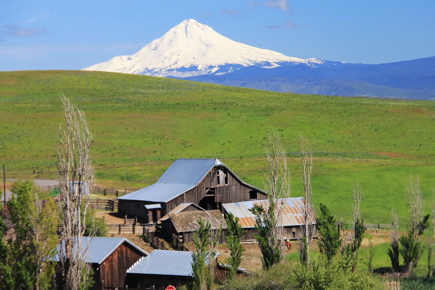 Mysteries-Of-Oregon8217s-Columbia-Hills mysteries-of-oregons-columbia-hills