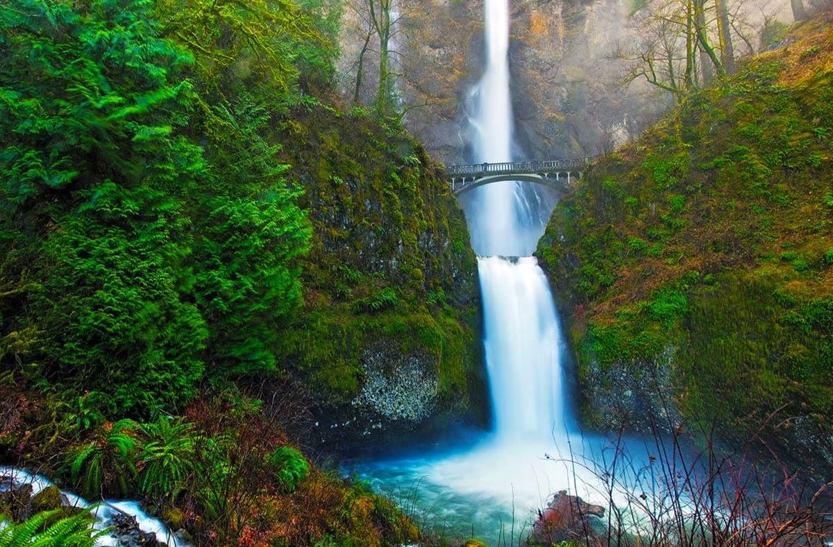Mysteries-Of-Oregon8217s-Multnomah-Waters mysteries-of-oregons-multnomah-waters