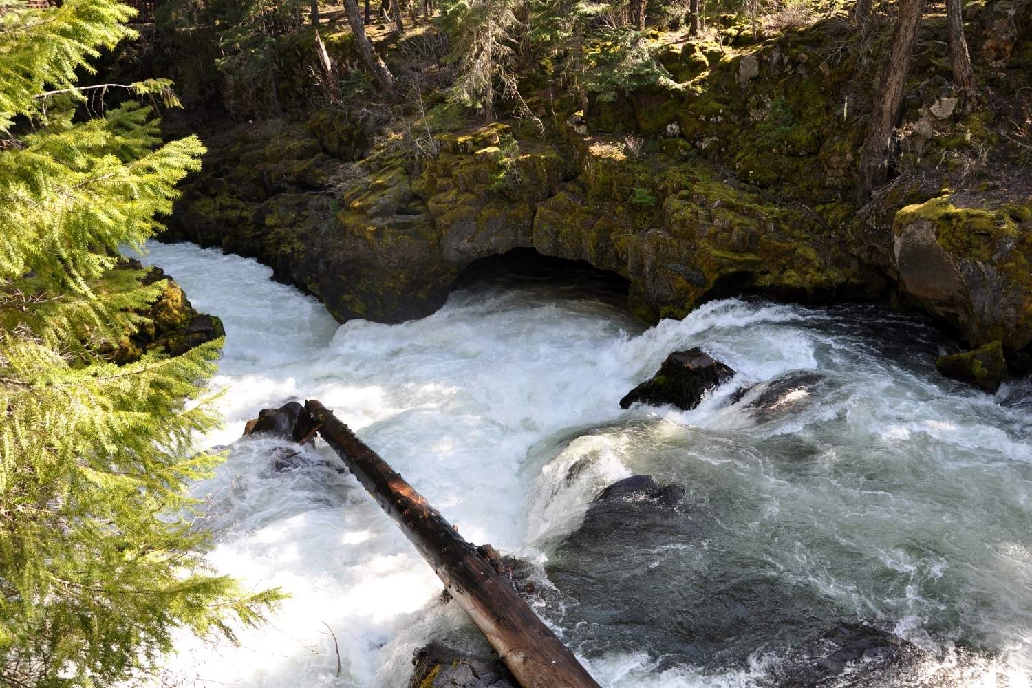 Mysteries-Of-Oregon8217s-Rogue-River-Waters mysteries-of-oregons-rogue-river-waters