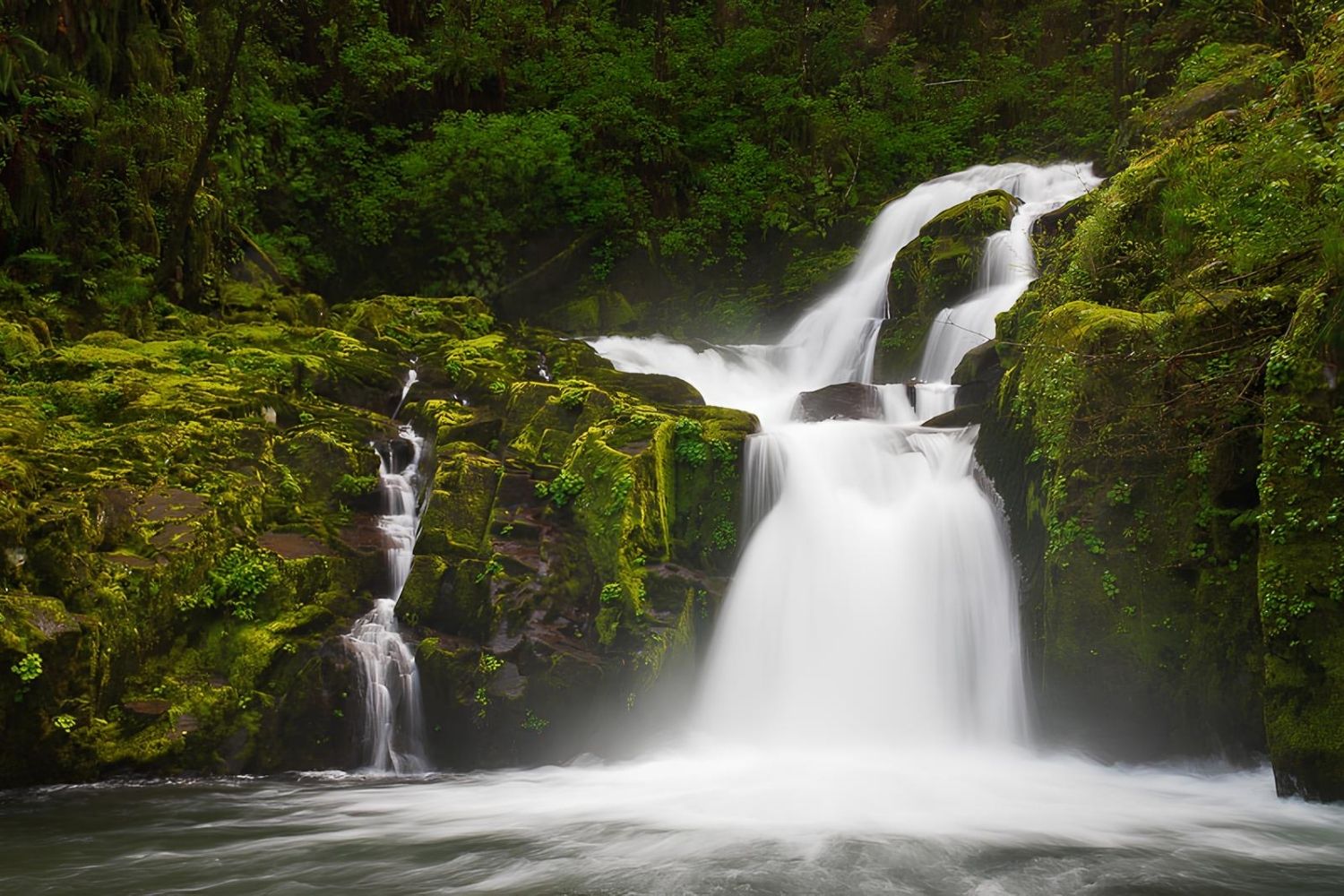 mysteries-of-oregons-sweet-creek-forest