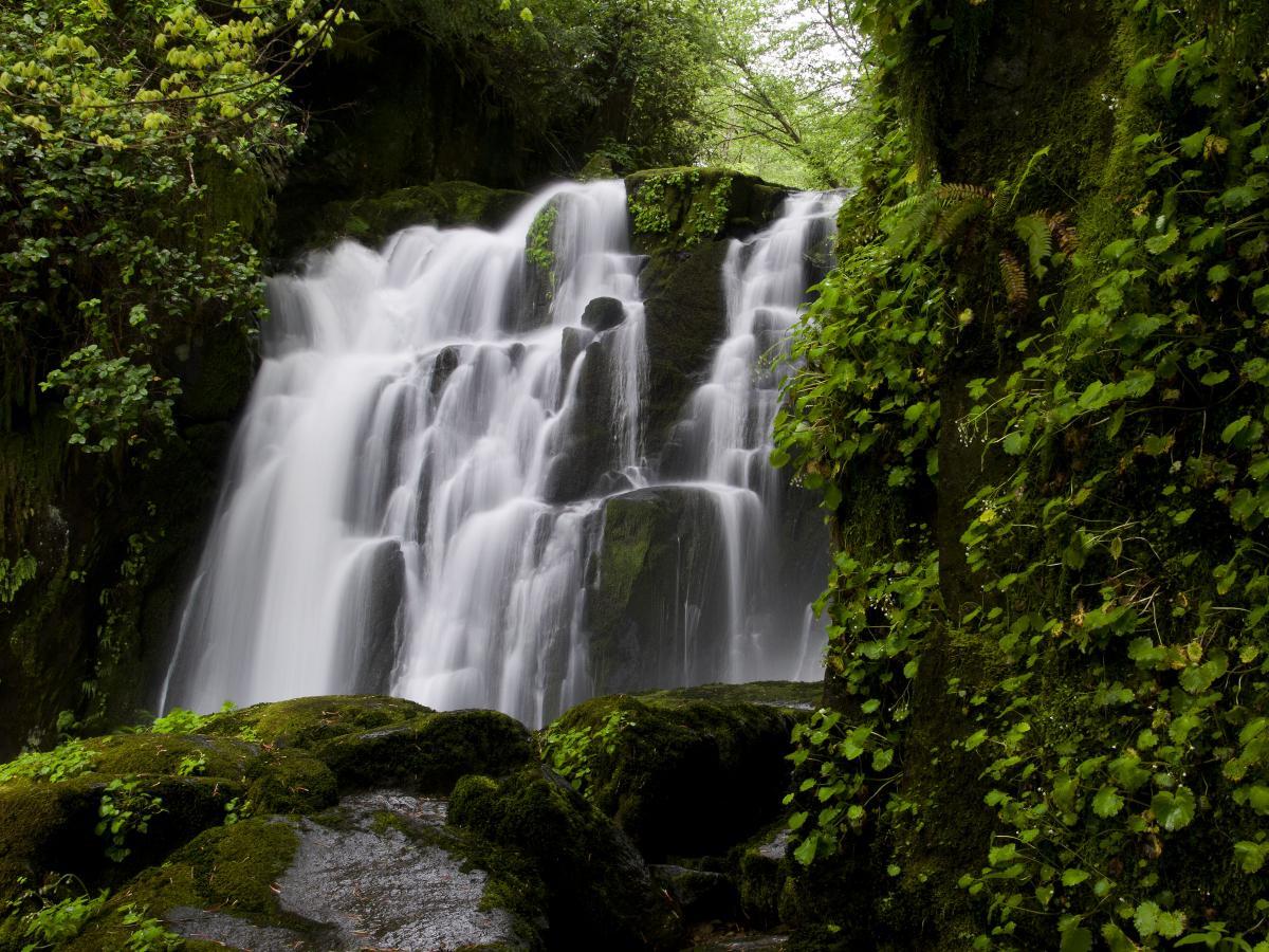 mysteries-of-oregons-sweet-creek-waters