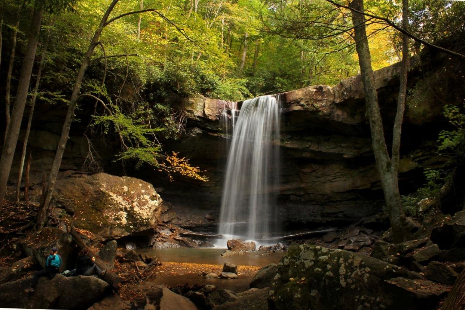 Mysteries-Of-Pennsylvania8217s-Ohiopyle-Forest mysteries-of-pennsylvanias-ohiopyle-forest