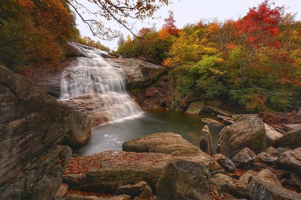 mysteries-of-pisgah-forest-in-north-carolina