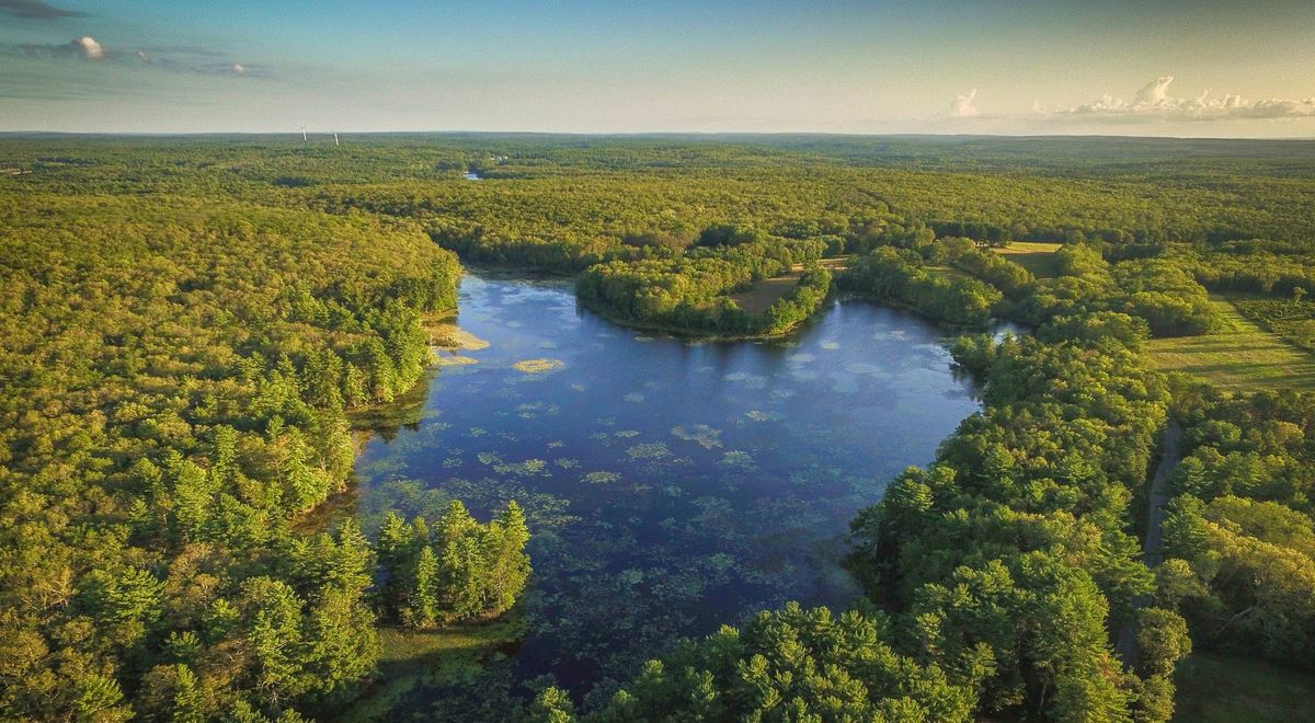 mysteries-of-rhode-islands-tillinghast-forest