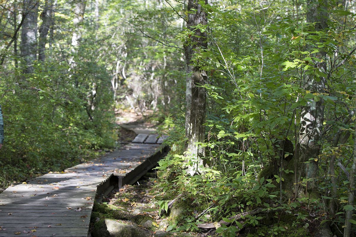Mysteries-Of-Rhode-Island8217s-Weetamoo-Trails mysteries-of-rhode-islands-weetamoo-trails