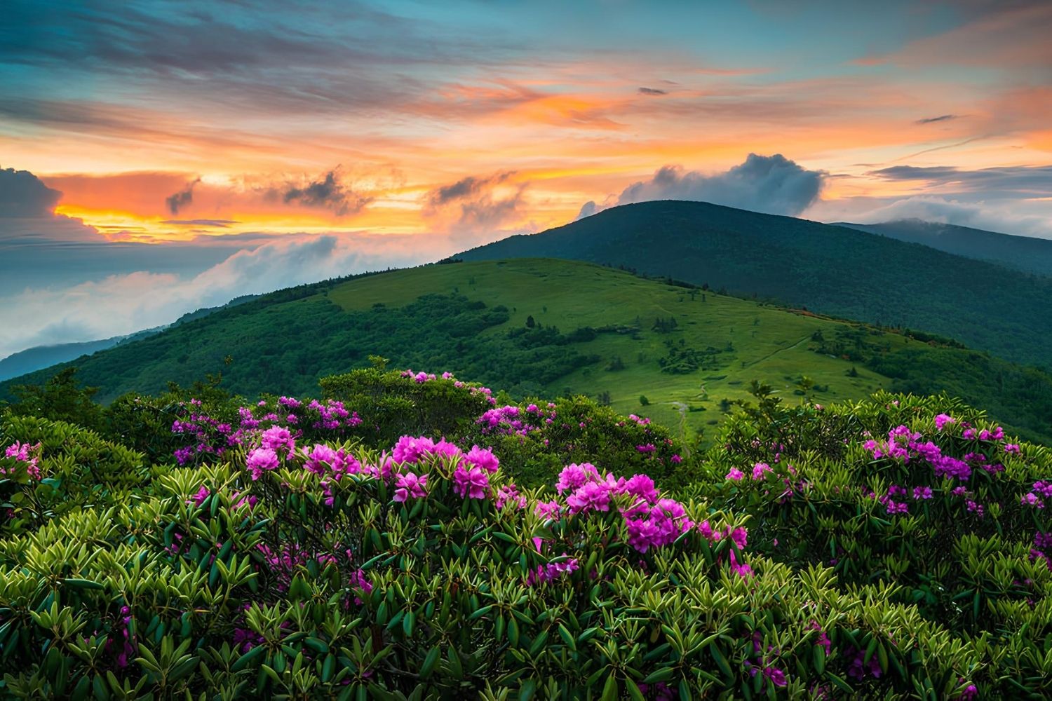 mysteries-of-roan-mountain-spirits