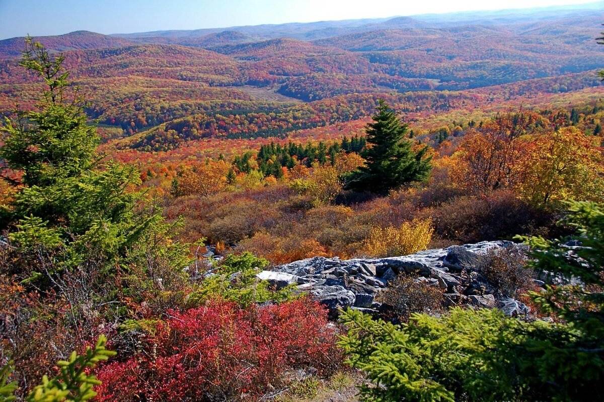 Mysteries-Of-Seneca-In-West-Virginia mysteries-of-seneca-in-west-virginia