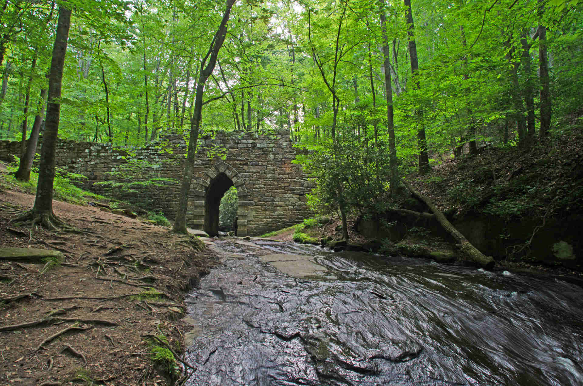 Mysteries-Of-South-Carolina8217s-Cherokee-Trail mysteries-of-south-carolinas-cherokee-trail