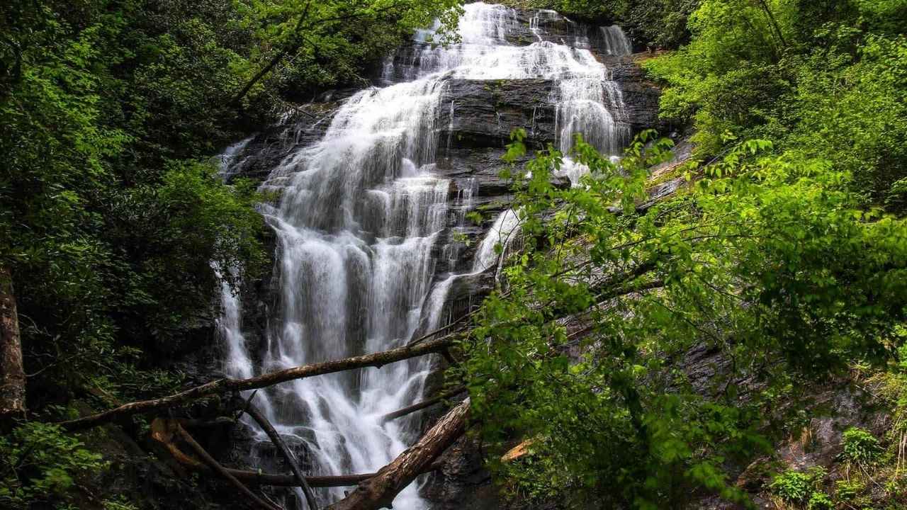 mysteries-of-south-carolinas-kings-forest-waters