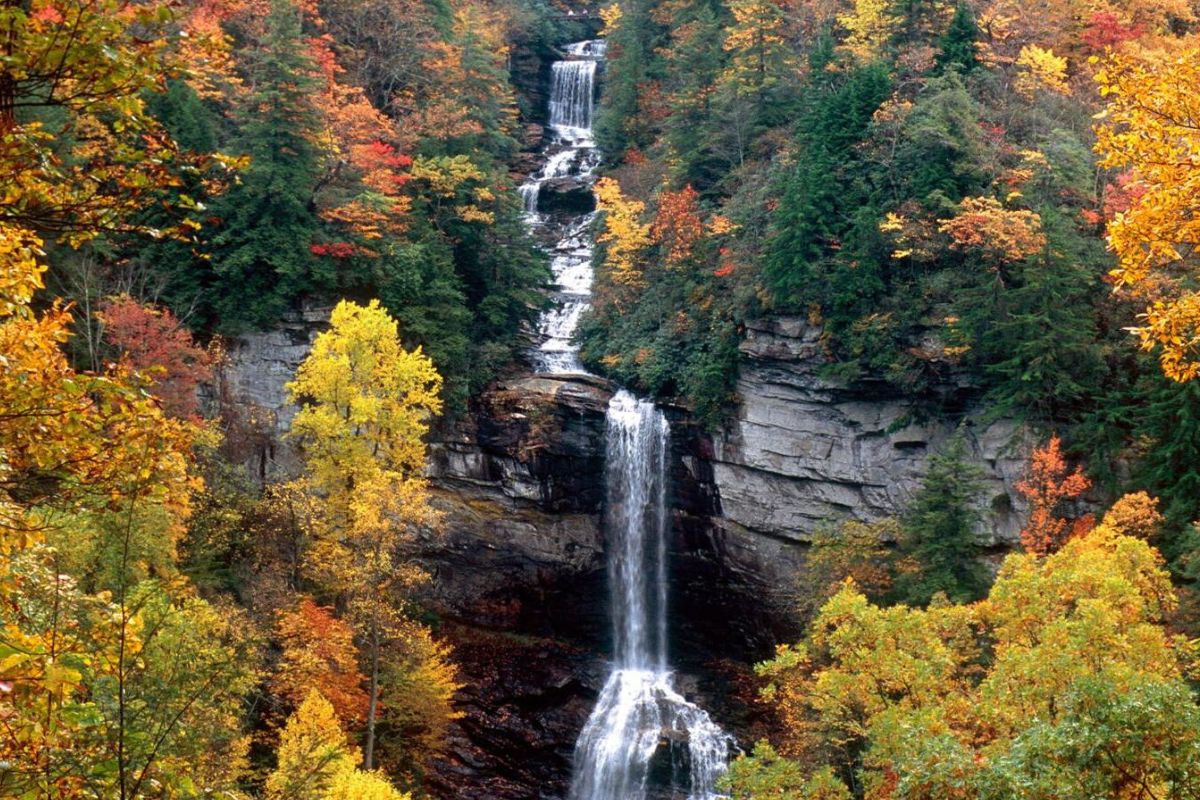 mysteries-of-south-carolinas-raven-cliff-waters