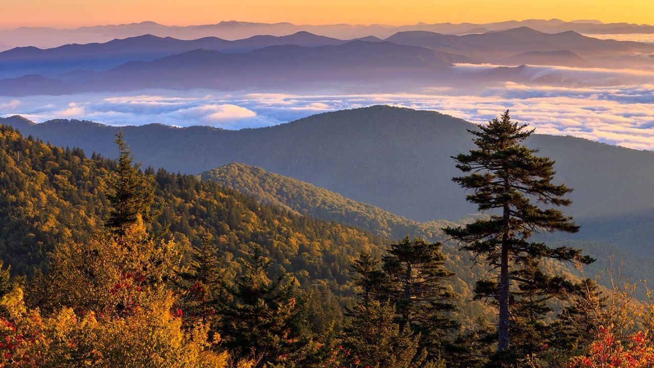 Mysteries-Of-Tennessees-Clingmans-Footprints mysteries-of-tennessees-clingmans-footprints