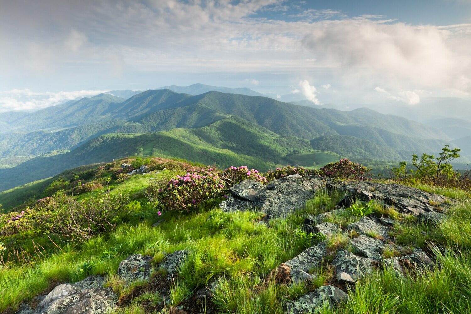 mysteries-of-tennessees-roan-mountain