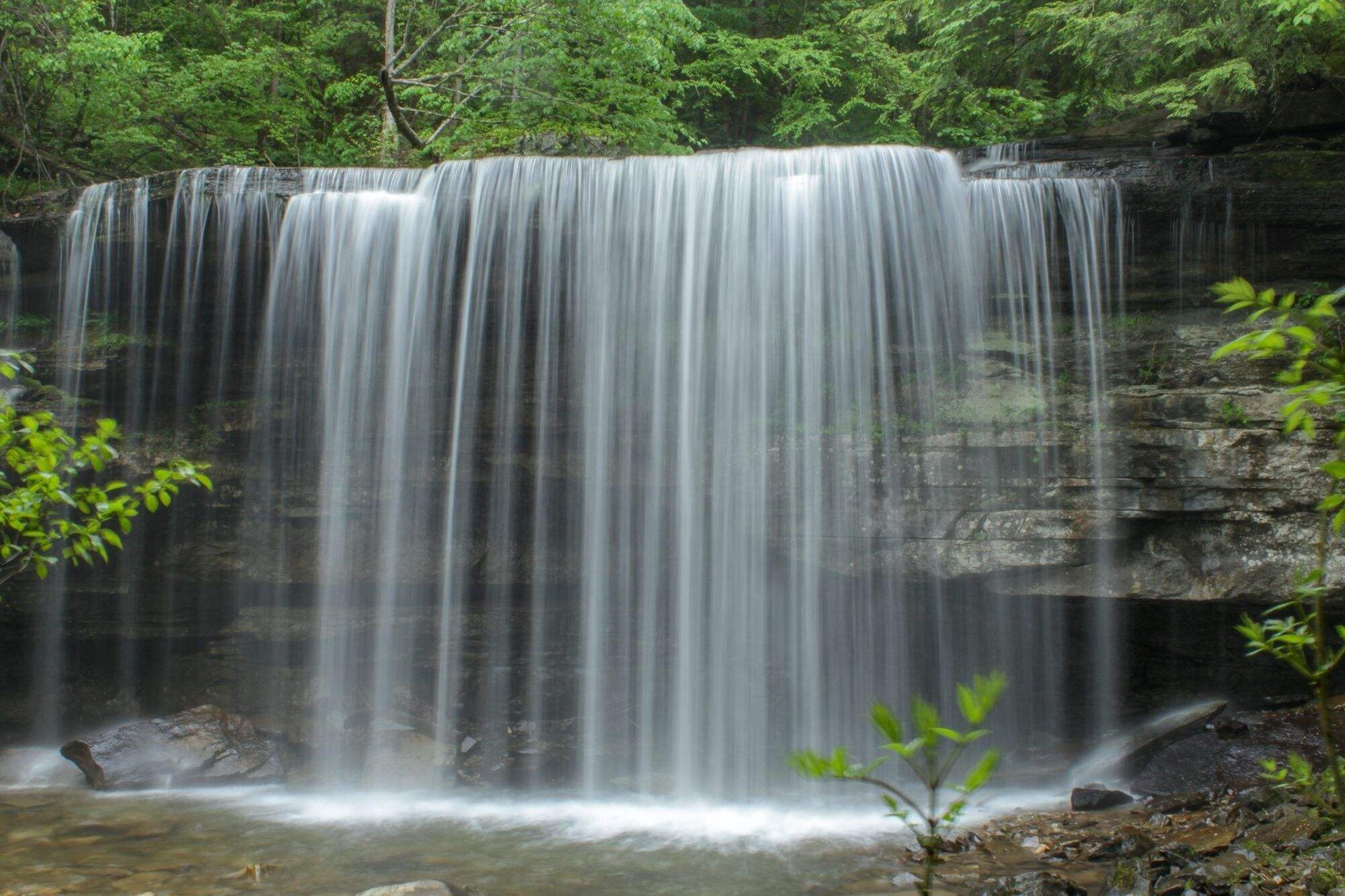 Mysteries-Of-Tennessee8217s-South-Cumberland-Forest mysteries-of-tennessees-south-cumberland-forest