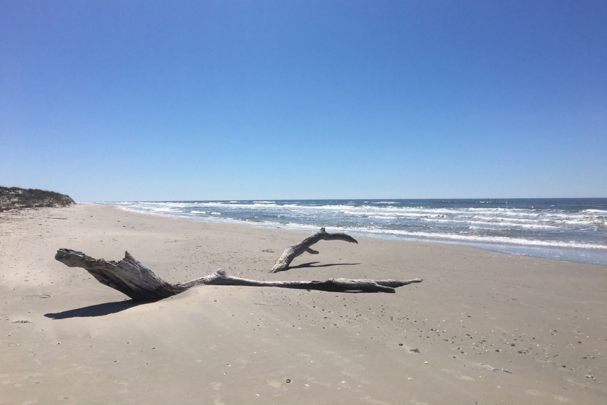 Mysteries-Of-Texas-Matagorda-Island mysteries-of-texas-matagorda-island