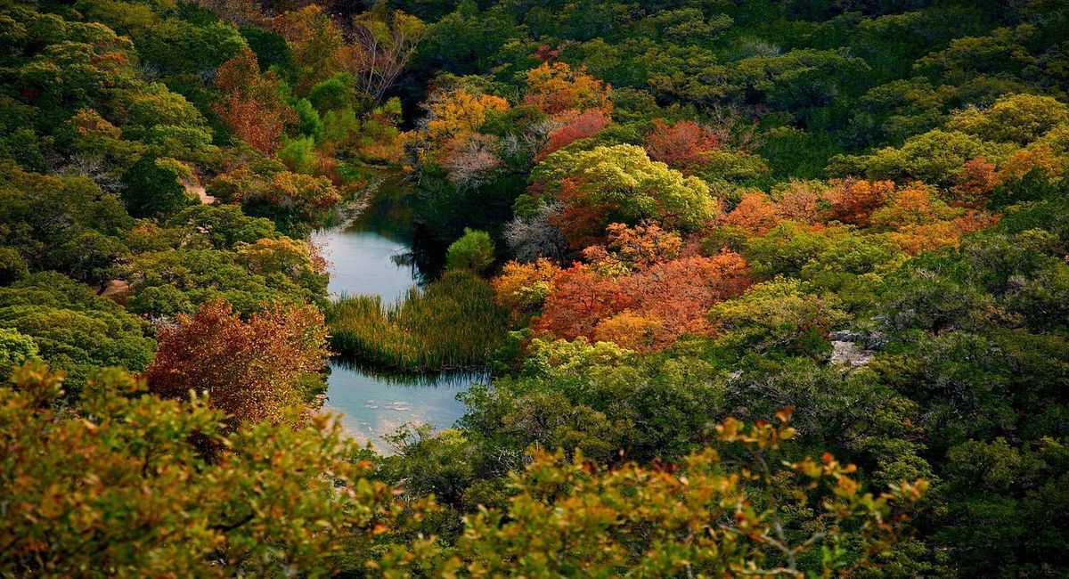 Mysteries-Of-Texas8217s-Lost-Maples-Springs mysteries-of-texass-lost-maples-springs