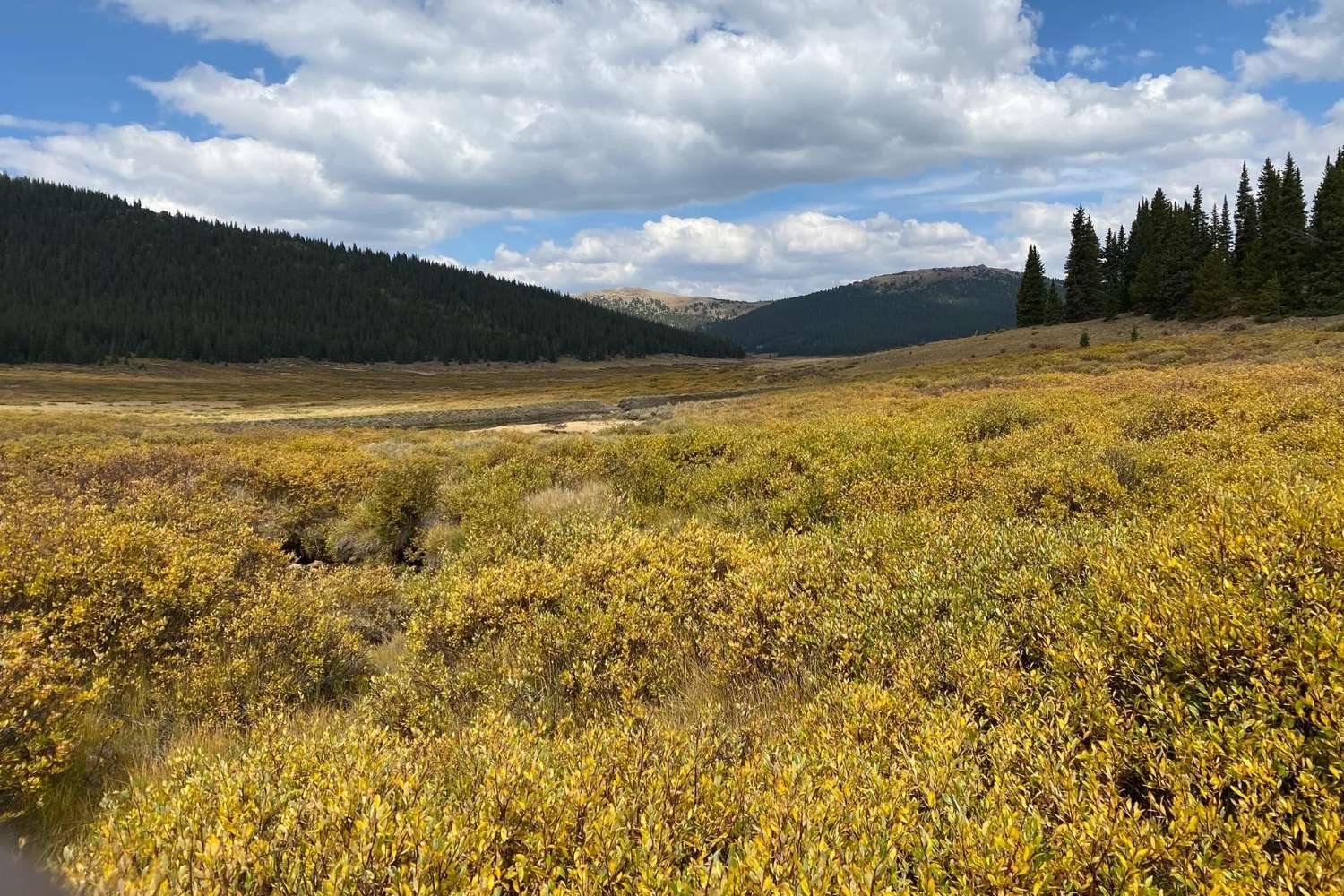 mysteries-of-the-hidden-valley-in-buffalo-peaks