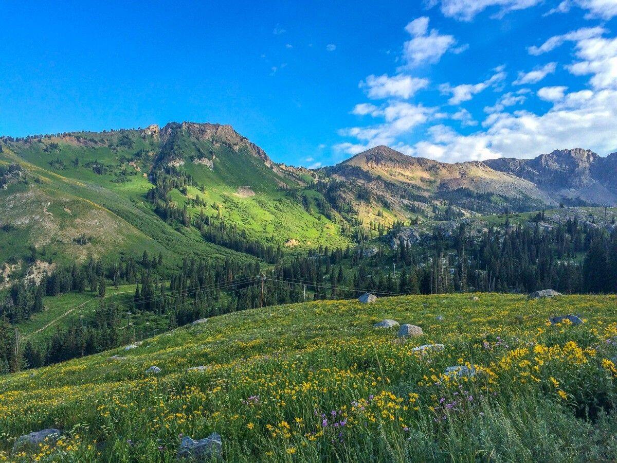 mysteries-of-utahs-albion-basin