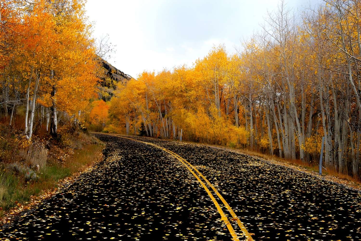 mysteries-of-utahs-fishlake-scenic
