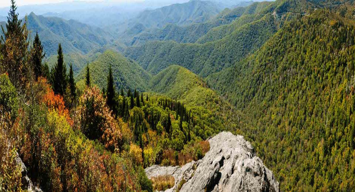 Mysteries-Of-Virginias-Eagle-Rock-Valleys mysteries-of-virginias-eagle-rock-valleys