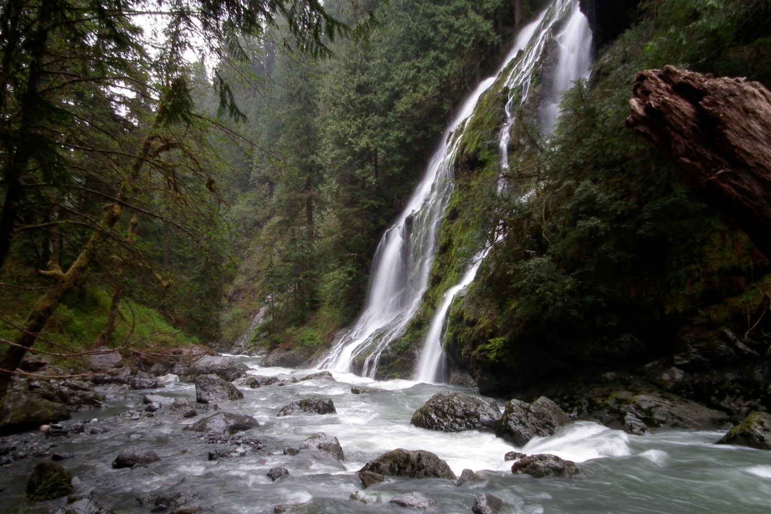 Mysteries-Of-Washington8217s-Boulder-River mysteries-of-washingtons-boulder-river