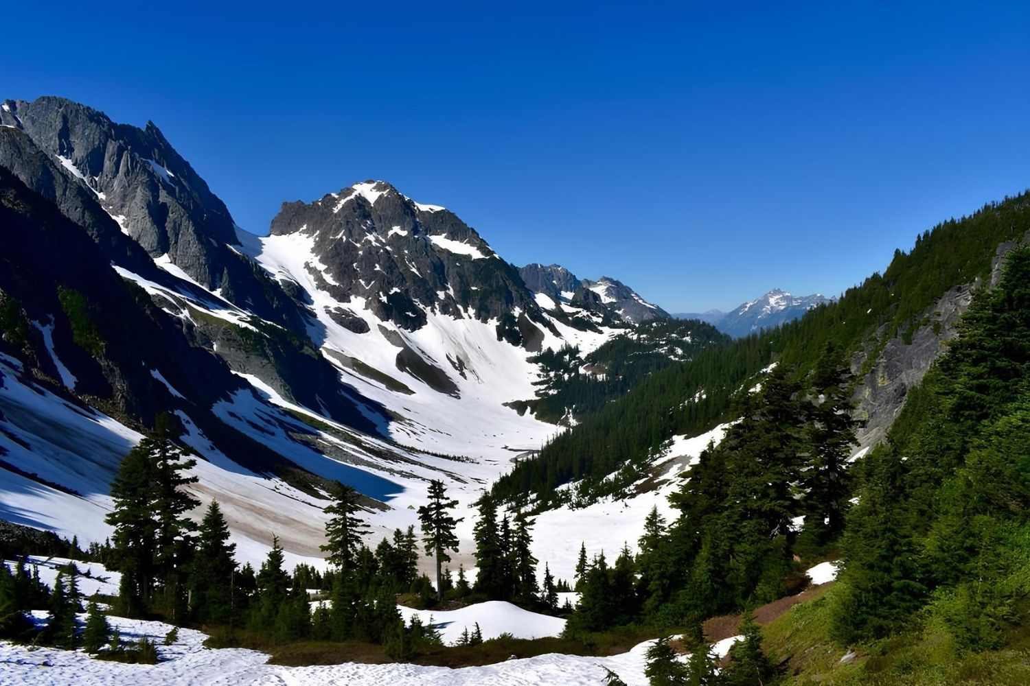Mysteries-Of-Washingtons-Cascade-Pass mysteries-of-washingtons-cascade-pass