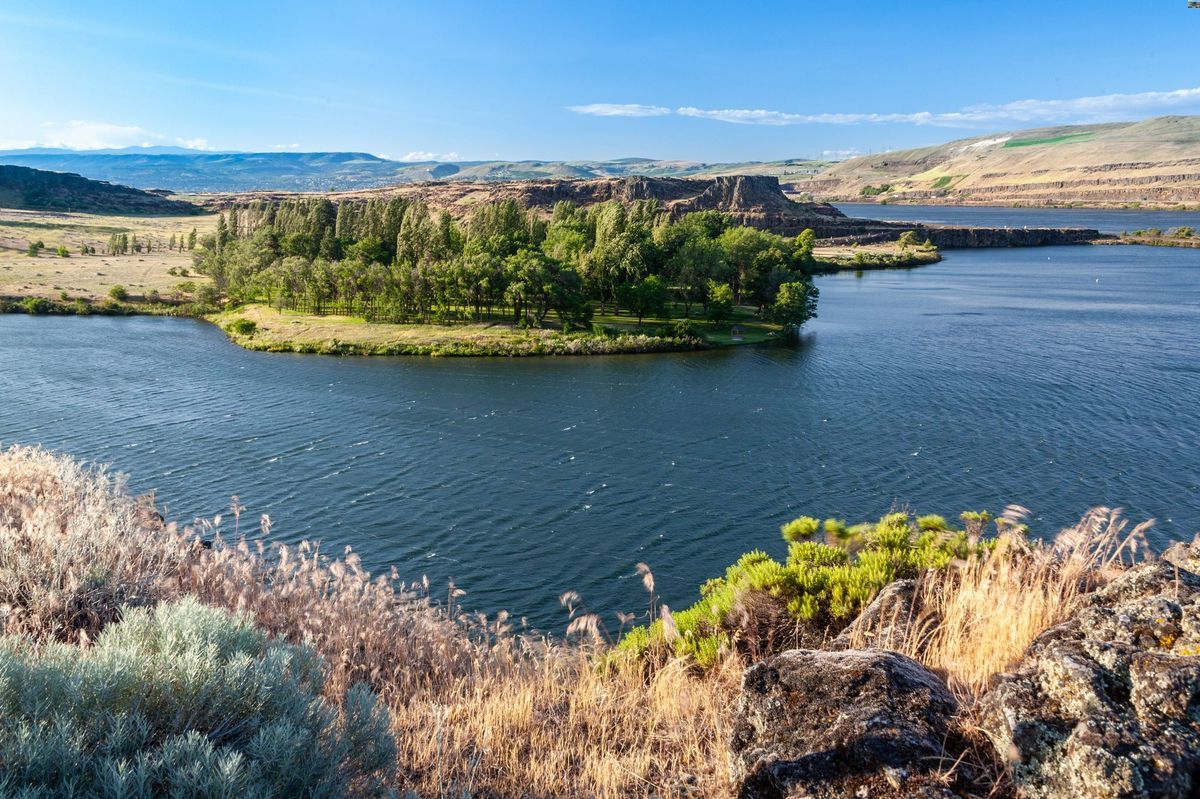 Mysteries-Of-Washington8217s-Columbia-Hills-Waters mysteries-of-washingtons-columbia-hills-waters