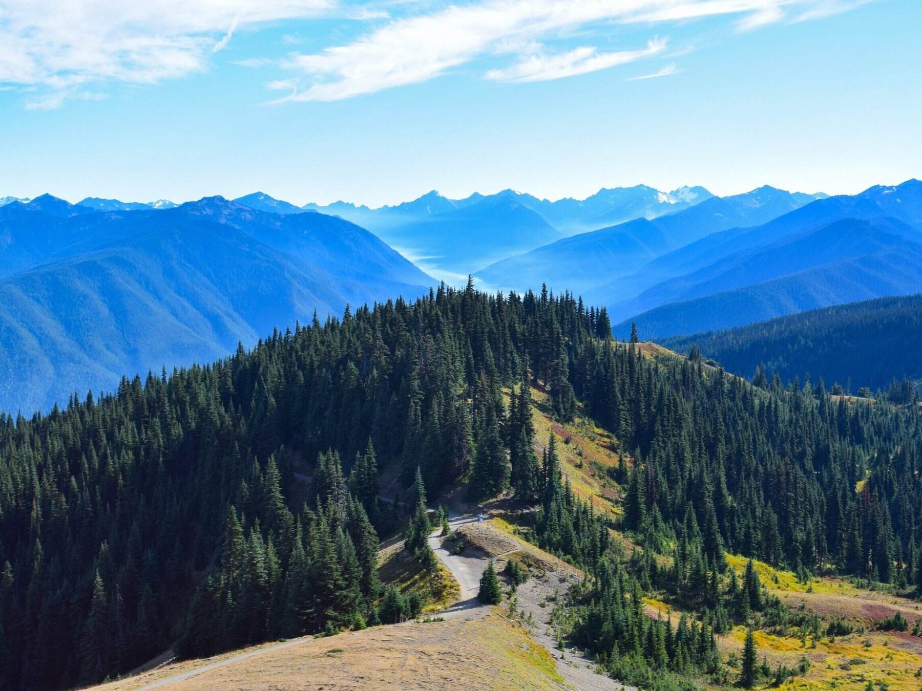 mysteries-of-washingtons-hurricane-ridge