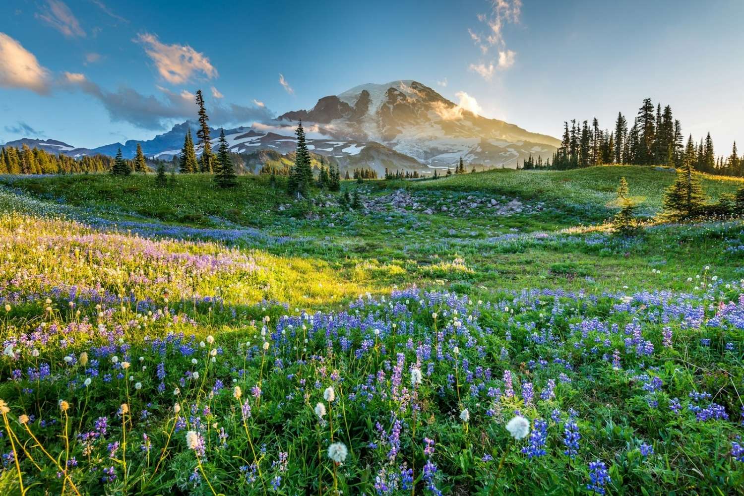 mysteries-of-washingtons-mount-rainier