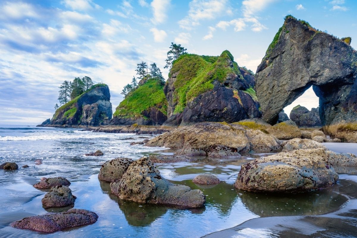 Mysteries-Of-Washington8217s-Olympic-Coast mysteries-of-washingtons-olympic-coast