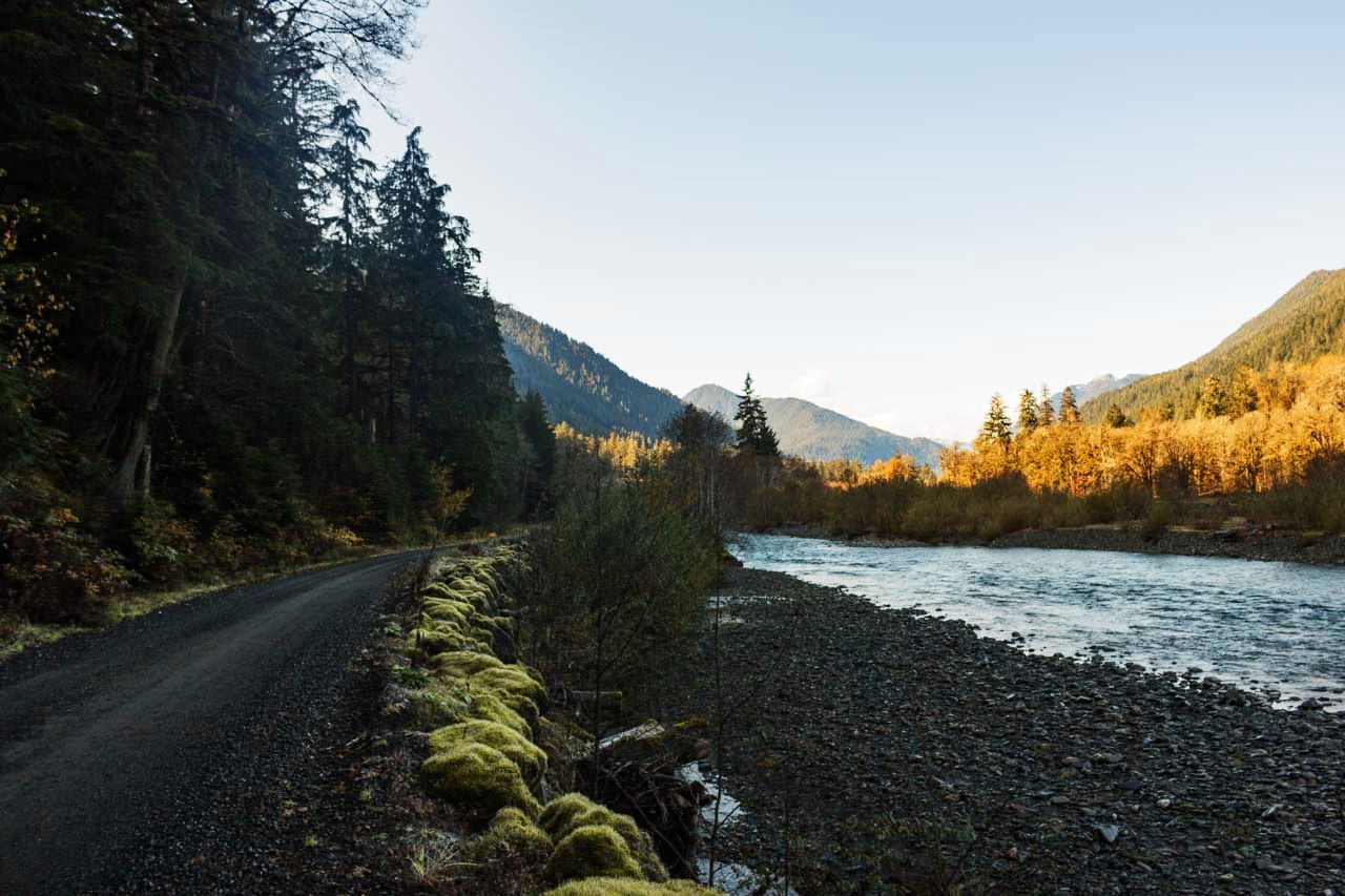 Mysteries-Of-Washington8217s-Quinault-Valley mysteries-of-washingtons-quinault-valley