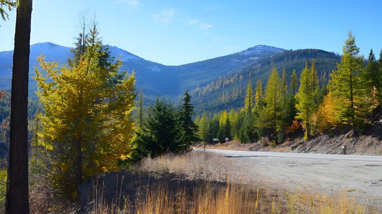 Mysteries-Of-Washington8217s-Sherman-Pass-Mines mysteries-of-washingtons-sherman-pass-mines