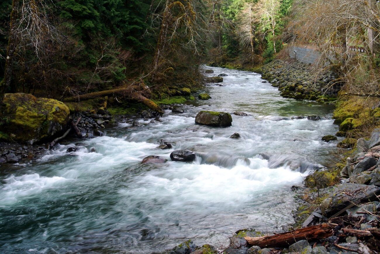 Mysteries-Of-Washington8217s-Sol-Duc mysteries-of-washingtons-sol-duc