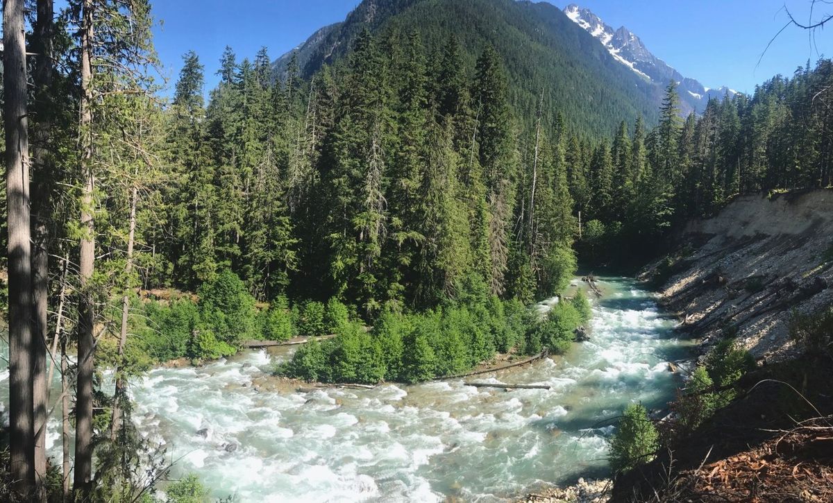 Mysteries-Of-Washington8217s-Thunder-Creek mysteries-of-washingtons-thunder-creek