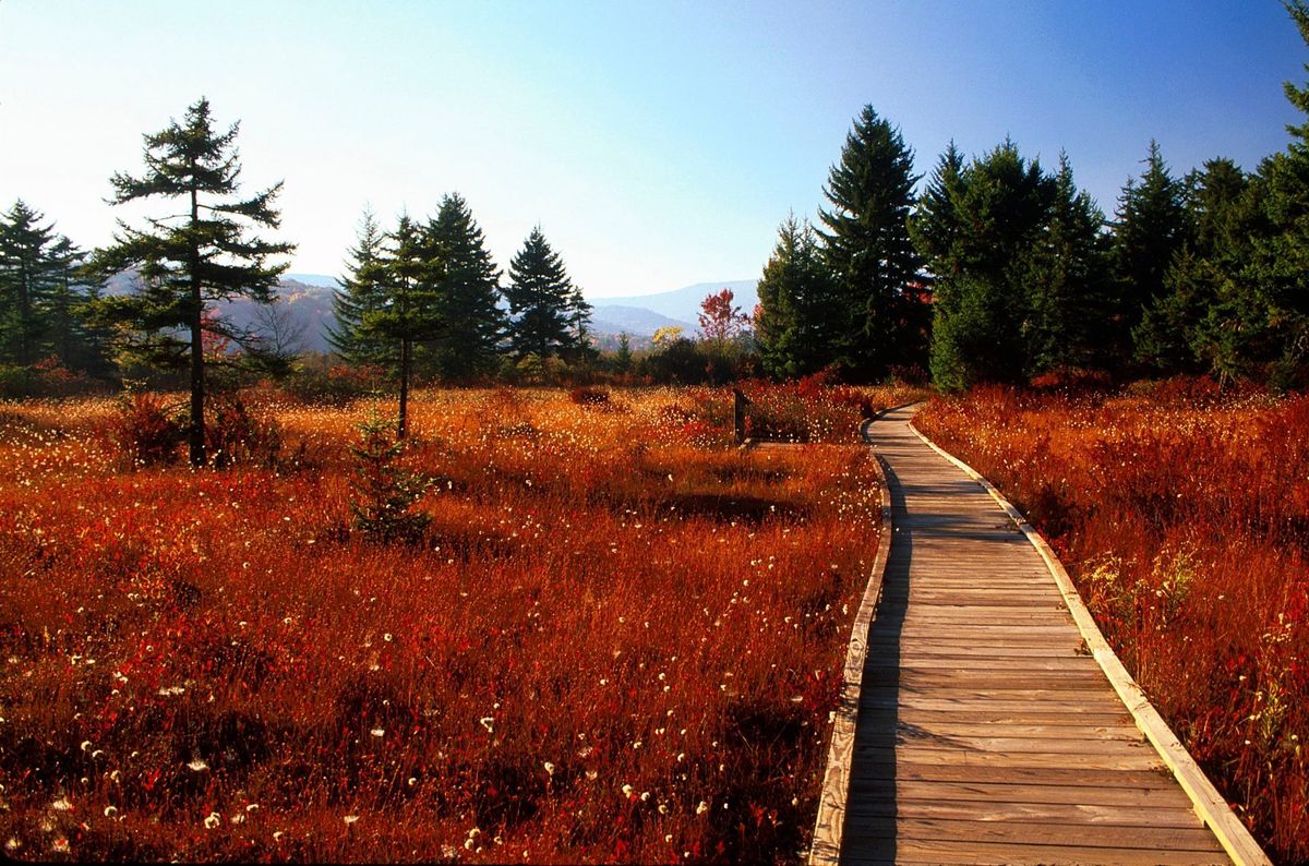 mysteries-of-west-virginias-cranberry