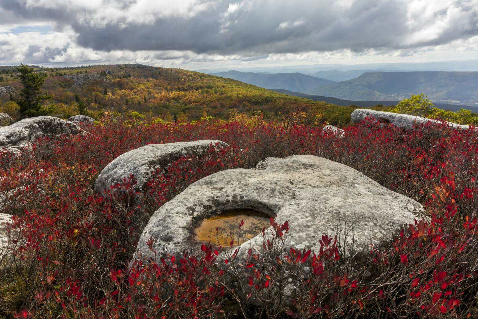 Mysteries-Of-West-Virginia8217s-Dolly-Sods mysteries-of-west-virginias-dolly-sods