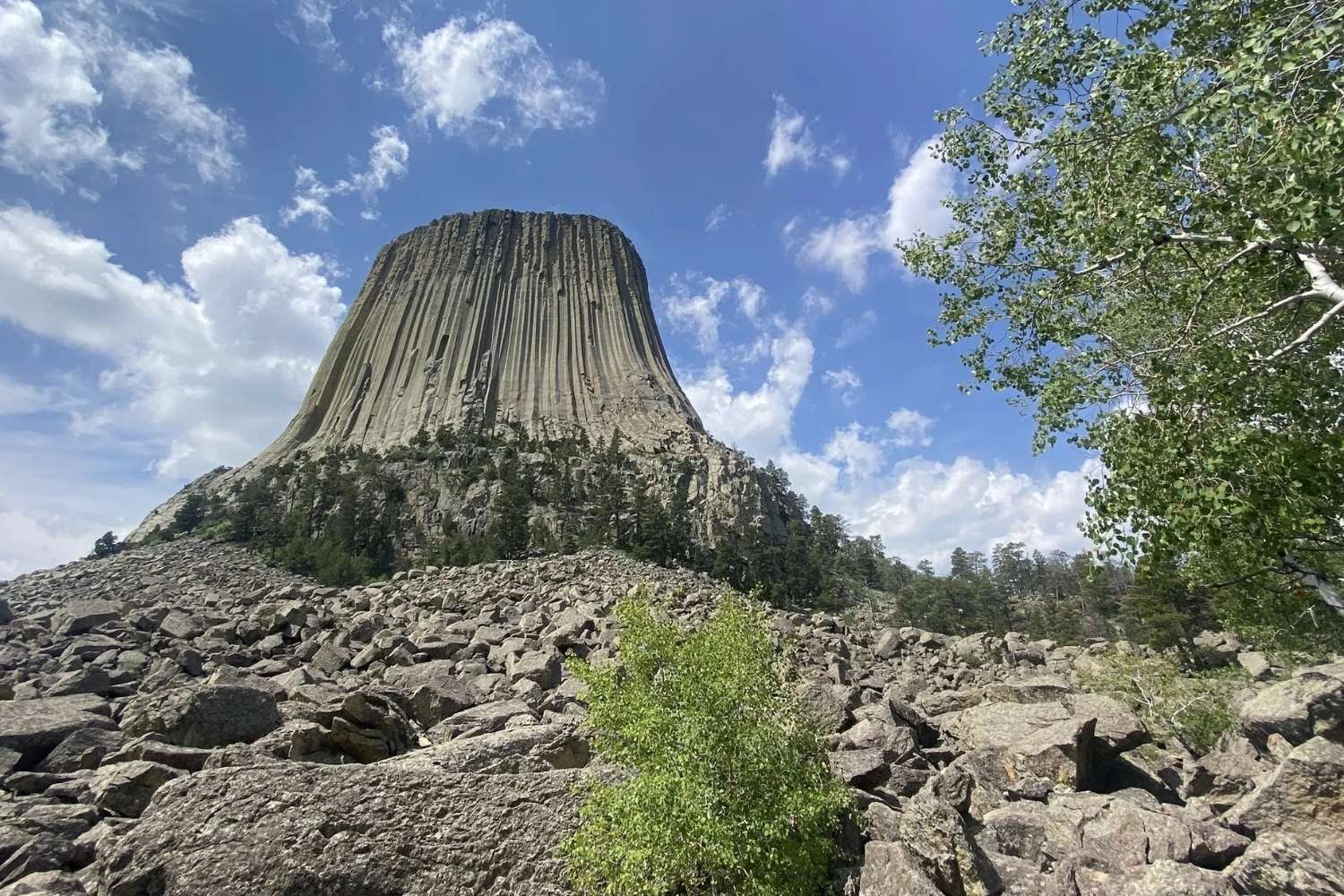 Mysteries-Of-Wyoming8217s-Devil8217s-Tower-Trails mysteries-of-wyomings-devils-tower-trails