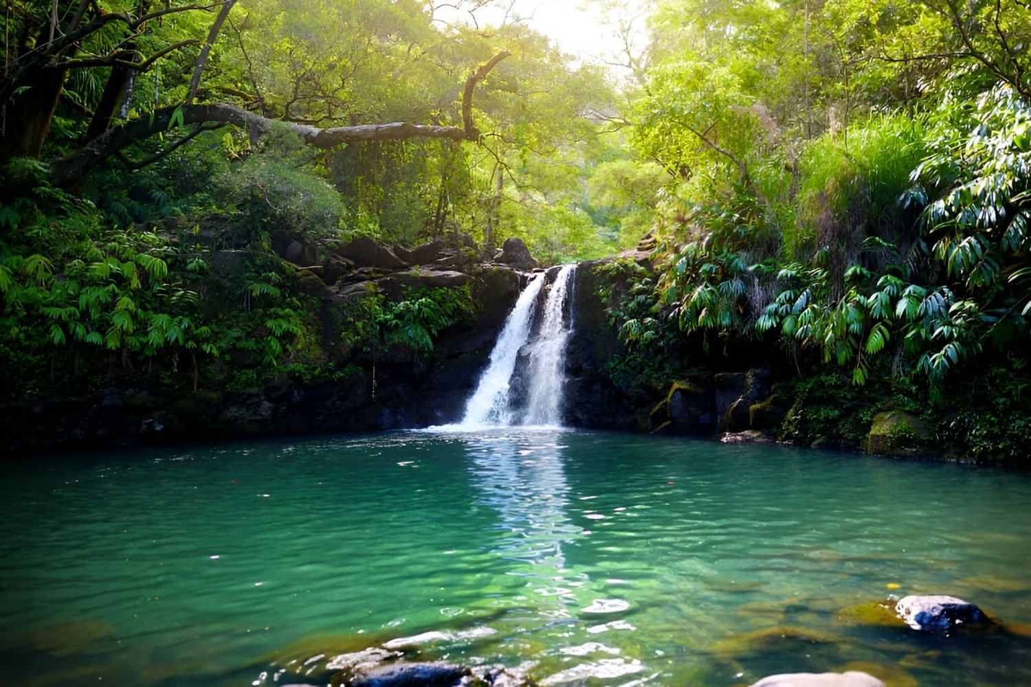 mystery-of-hawaiis-hidden-falls