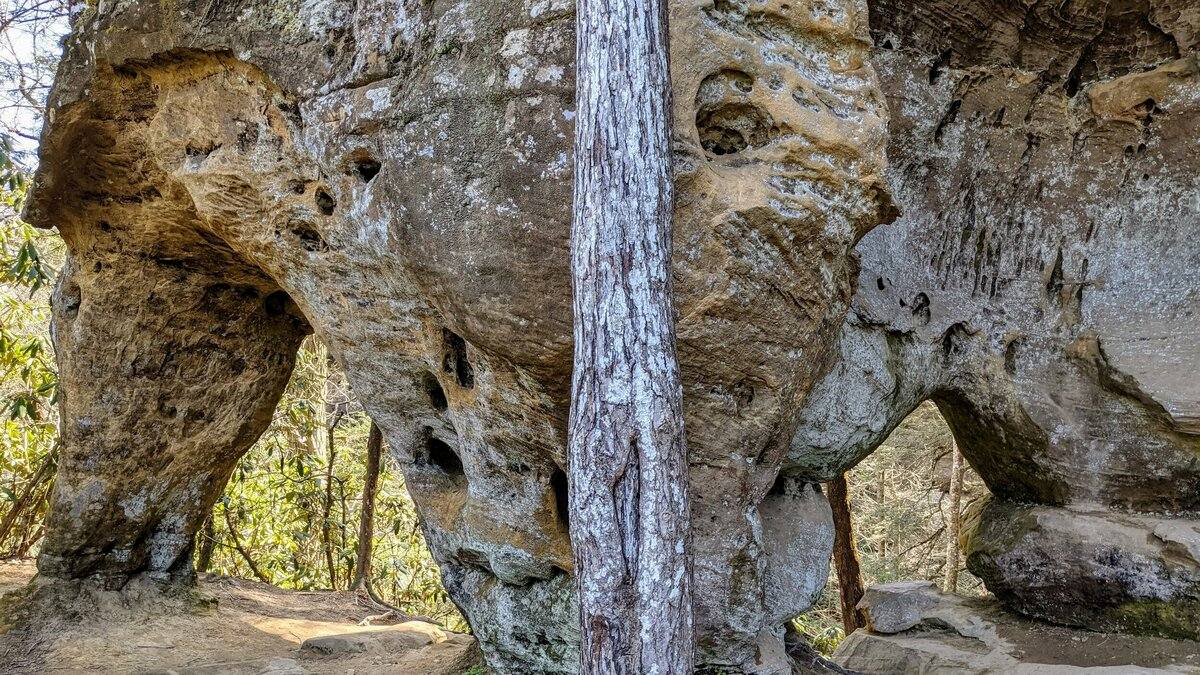 mystery-of-kentuckys-angel-windows