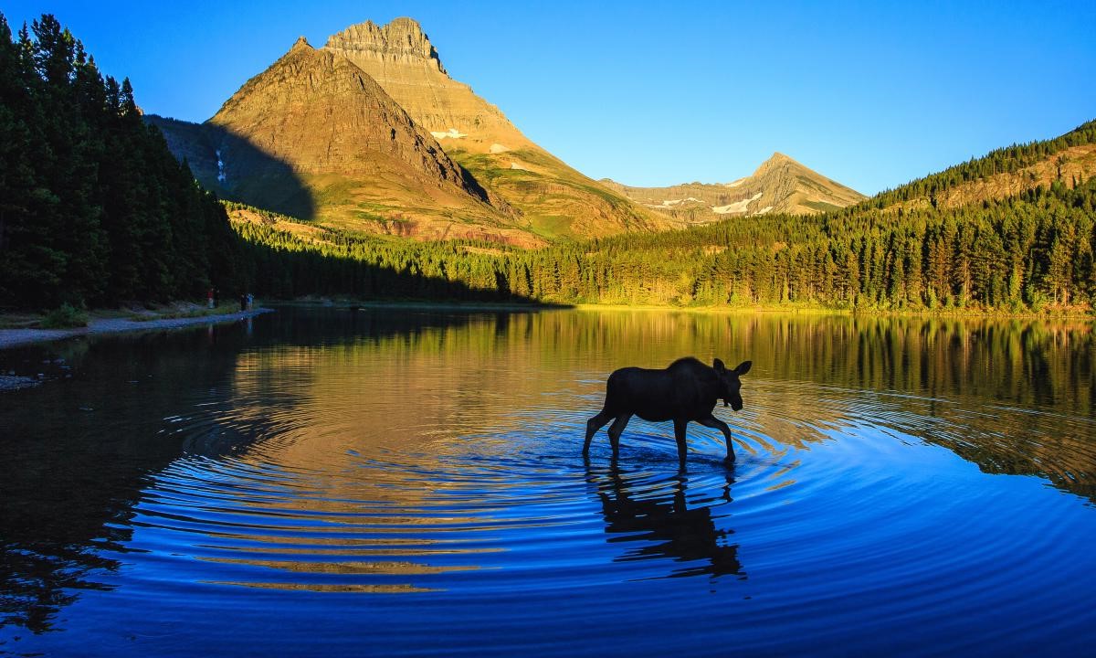 mystery-of-montanas-crystal-cross