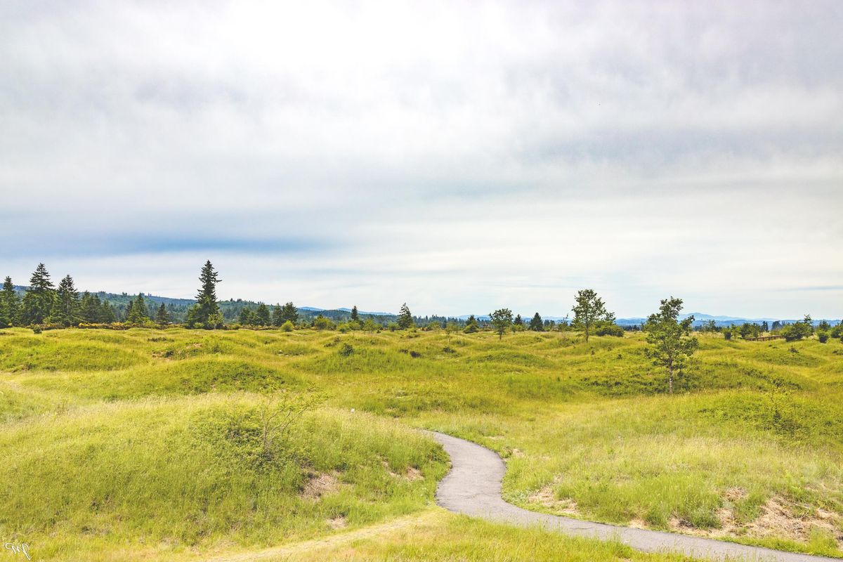mystery-of-olympias-mima-mounds-near-washingtons-capital