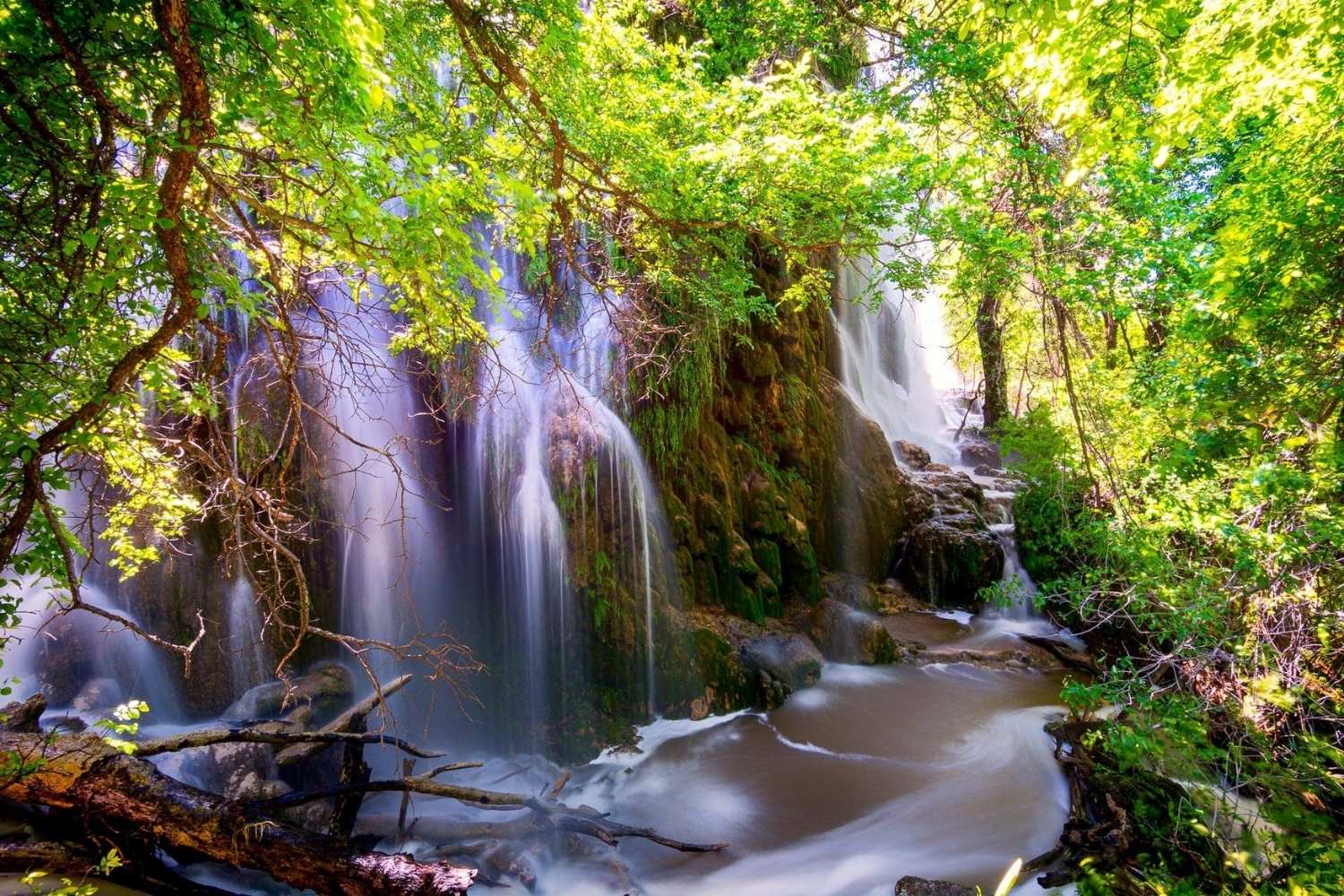 Mystery-Of-Texas-Gorman-Falls-Waters mystery-of-texas-gorman-falls-waters