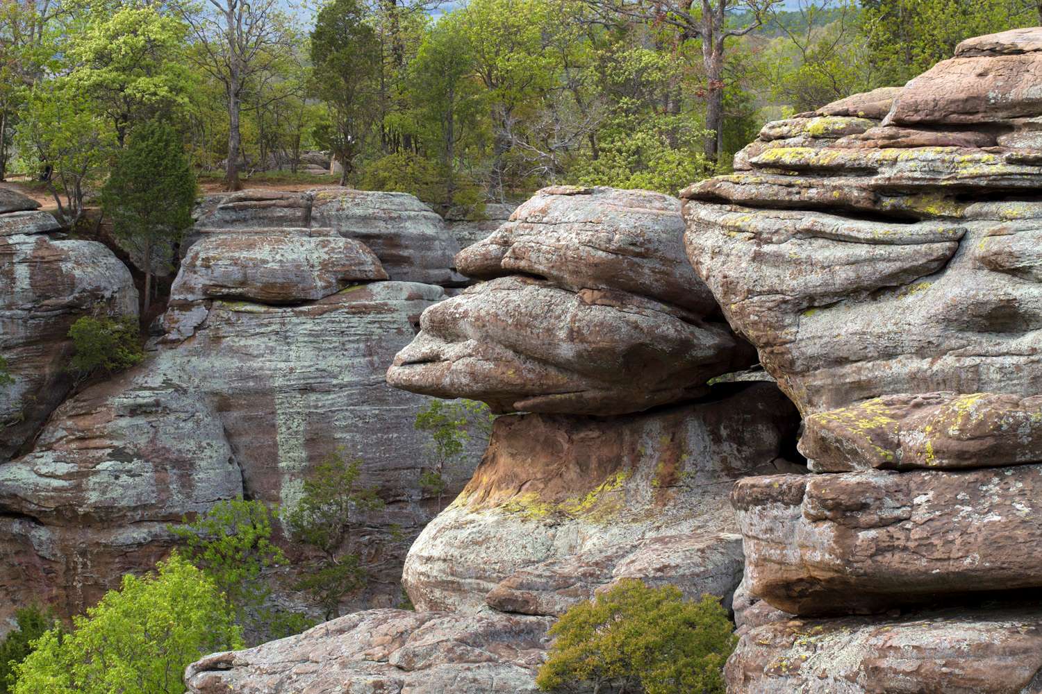 mystery-of-the-illinois-garden-rock